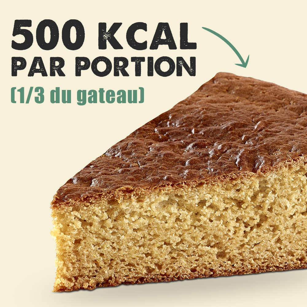 Nutrition sportive OVERSTIM.S, Préparation en poudre pour gâteau  énergétique avant effort OVERSTIM.S GATOSPORT saveur Chocolat-Pépites de  chocolat (Boîte de 400g)